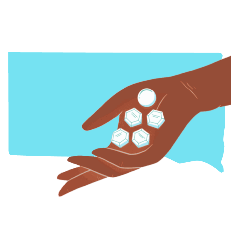 Abortion pill South Dakota